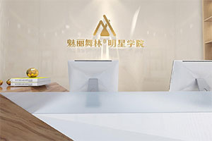 魅力舞林明星學(xué)院培訓(xùn)機構(gòu)裝修設(shè)計全景